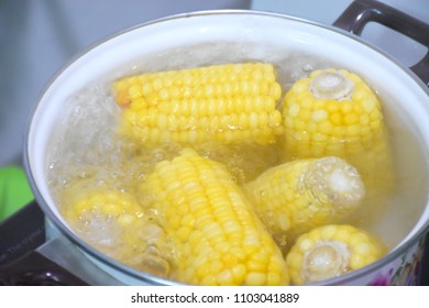 Boil the corn in boiling water. - Powered by Shutterstock