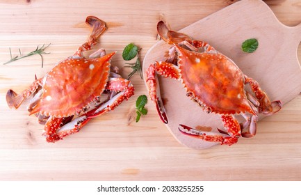 boiled blue swimming crab gourmet, Cooked crabs - Shutterstock ID 2033255255