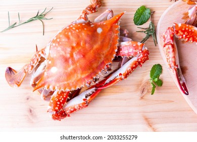 Boiled Blue Swimming Crab Gourmet, Cooked Crabs