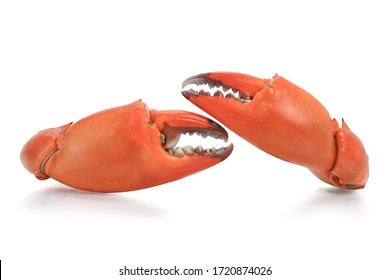 Boiled claw crab isolated on white background. This has clipping path.