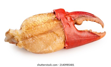 Boiled claw crab With Crab meat isolated on white background, Scylla serrata or Sea Crab on white With clipping path.