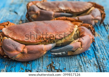 Boiled crab on blue rustic wooden background