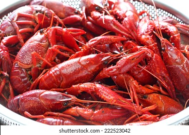 Boiled Crawfish Clayfish Party