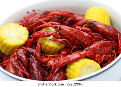 Boiled Crawfish Clayfish Party