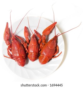 Boiled crayfishes on a plate