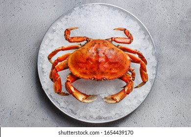Boiled dungeness crab on ice over gray concrete background. Overhead view, close up. Seafood background