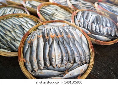 Boiled Fish Basket. Seafood Processing At Fish Market In Quy Nhon, South Vietnam