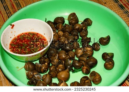 Boiled golden apple snail river cooked for Asian food in Thailan.snail nautilus ammonite with spicy chili sauce
