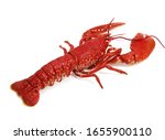 Boiled Lobster, homarus gammarus against White Background 