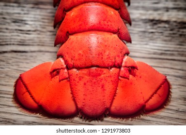 Boiled Lobster Tail