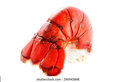 Boiled Lobster Tail Isolated On White Background