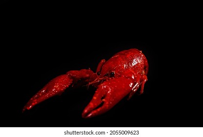 Boiled Louisiana Crayfish On A Black Background.