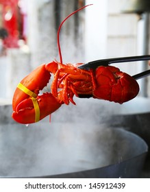 Boiled Maine Lobster 