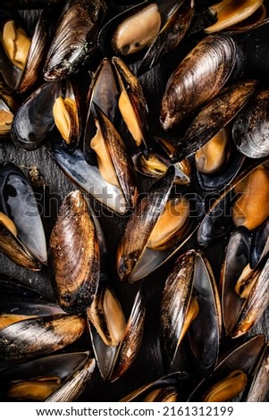 Boiled mussels. Macro background. Mussel texture. High quality photo