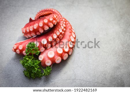 Boiled octopus tentacles with herb on plate, Octopus food cooked salad seafood squid cuttlefish