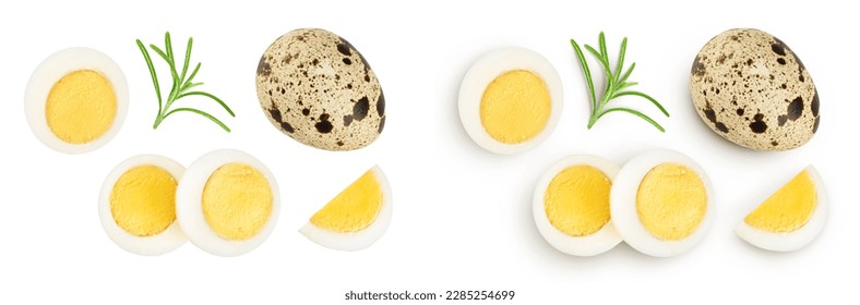 boiled quail egg isolated on white background with full depth of field. Top view. Flat lay - Powered by Shutterstock