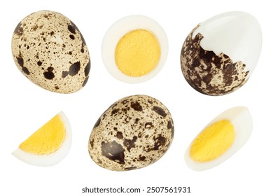 boiled quail egg isolated on white background with full depth of field. Top view. Flat lay - Powered by Shutterstock