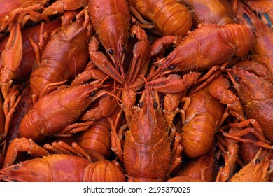 Boiled Red Crayfish Or Crawfish On A Table Close-up. Food Background For Menu. Top View, Flat Lay