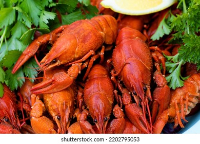 Boiled Red Crayfish Or Crawfish With Parsley Close-up. Top View, Flat Lay. Food Background. Selective Focus