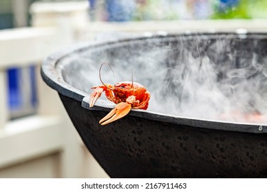 Boiled Red Crayfish Or Lobster In A Large Cast-iron Steaming Pot. Outdoor Summer Family Party Picnic In The Park.