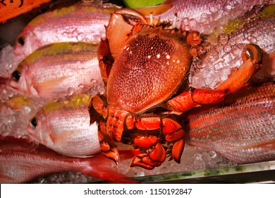 Boiled  Red Frog Crab Or Kona Crab Or Spanner Crab Or From The Market On Ice Or Cooked Crab On Ice Over Fish