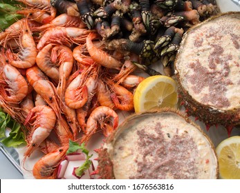 Boiled Seafood Plate - Shrimps, Goose Barnacle And Spider Crab