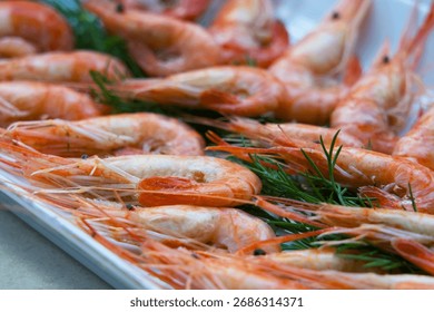 Boiled shrimps on a rectangular plate garnished with a sprig of dill close-up, three rows of shrimps, focus on the foreground side view of a row of shrimps on a plate,