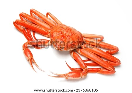Boiled snow crab on a white background
