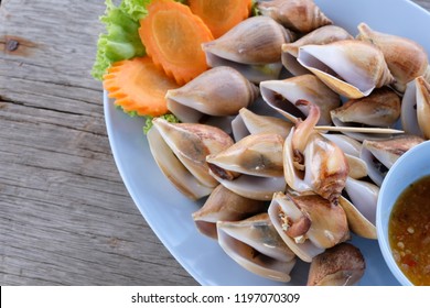 Boiled Wing Shell ,Dog Conch Or Strombus Canarium Served On Blue Dish With Seafood Sauce And Wood Background. Seafood Concept.