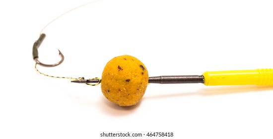 carp fishing bait