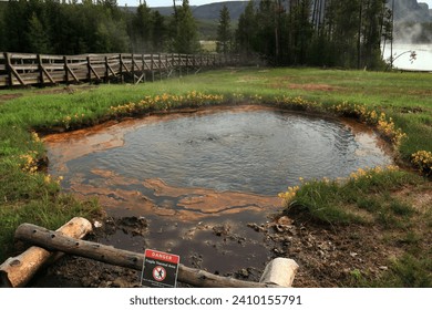 A boiling geothermal lake in the middle of green grass and flowers. On the left you can see a wooden bridge leading into the forest - Powered by Shutterstock