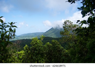 Boiling Lake Hike In Dominica 