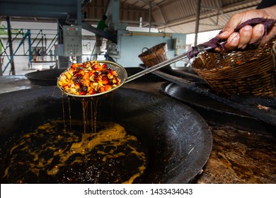 Boiling Oil Palm Fruits For Palm Oil Production At A Local Factory. Biofuel Concept.