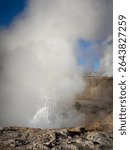 Boiling Steam from Geothermal Vent