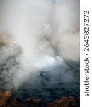 Boiling Steam from Geothermal Vent