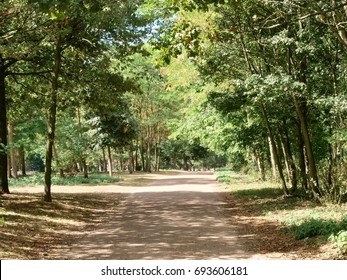 Bois De Boulogne/Paris,France