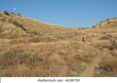 Boise Foothills Hiker