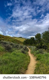 Boise Foothills Hiking And Mountain Biking Trail