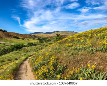 Boise Foothills Hiking And Mountain Biking Trail