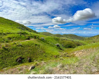 Boise Foothills In The Spring