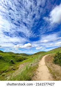 Boise Foothills In The Spring