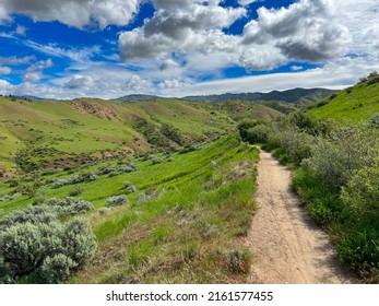 Boise Foothills In The Spring