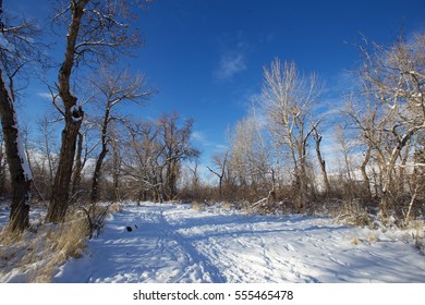 Boise Greenbelt In The Winter