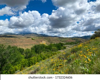 Boise, Idaho Foothills In The Spring