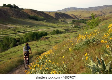 Boise, Idaho Mountain Biking