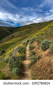 Boise, Idaho Mountain Biking Trails