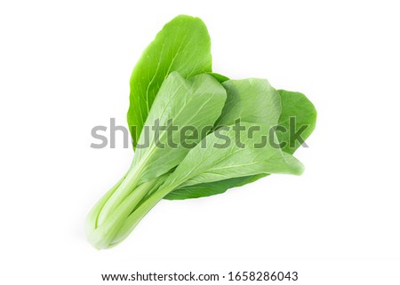 Bok choy (Chinese cabbage) ,Cantonese vegetables isolated white background