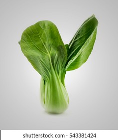 Similar Images, Stock Photos & Vectors of Bok choy ...