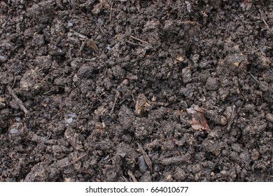 Bokashi Soil