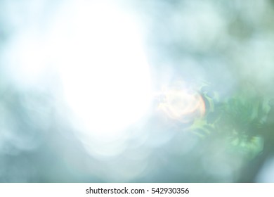 Bokeh abstract background